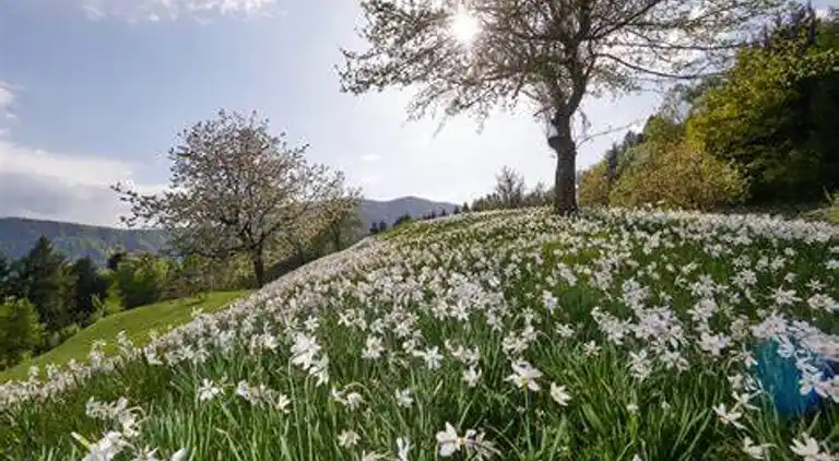 Apartment in Les Allues