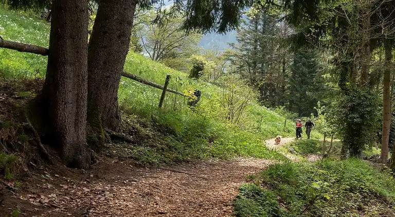 Apartment in Les Allues