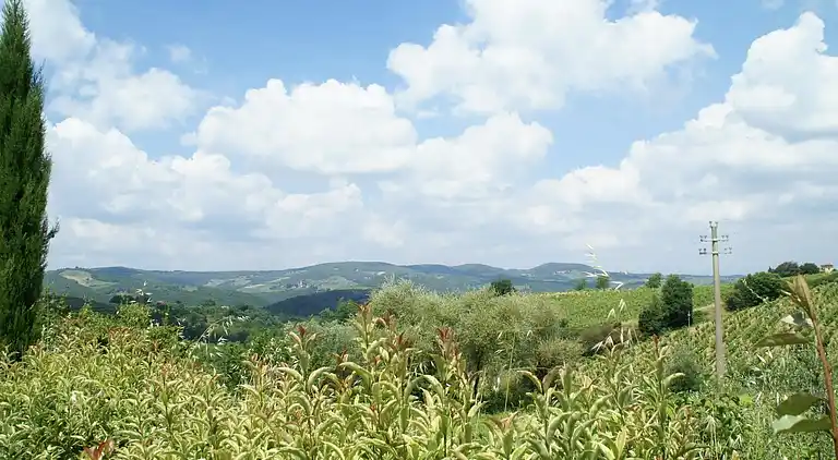 Appartamento in Barberino Tavarnelle