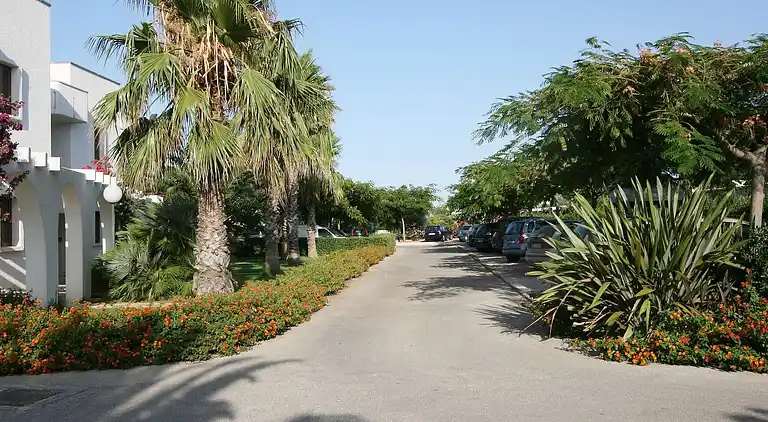 Lägenhet i Villanova