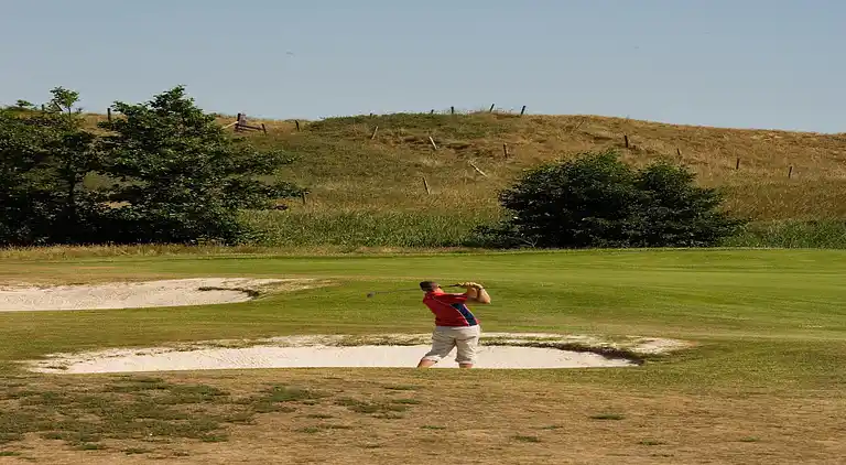 Vakantiehuis in De Cocksdorp