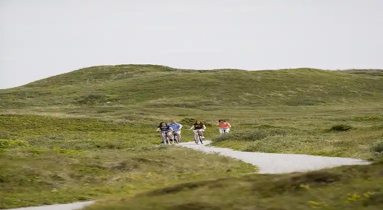 Vakantiehuis in De Cocksdorp