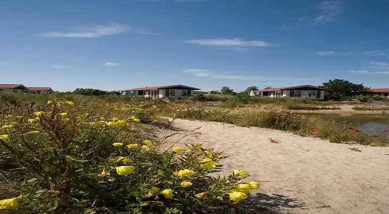 Vakantiehuis in De Cocksdorp