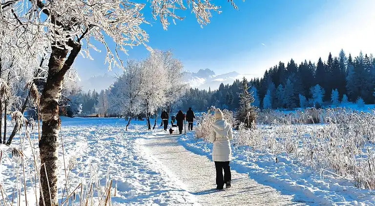 Farm house in Barwies