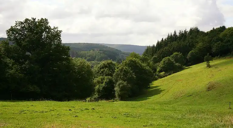 Sommerhus i Lesterny