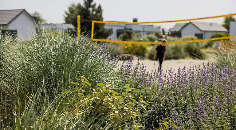 Holiday home in South Holland