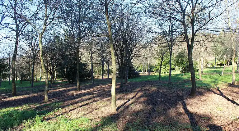 Cottage in Santa Comba