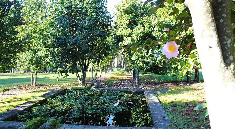 Cottage in Santa Comba