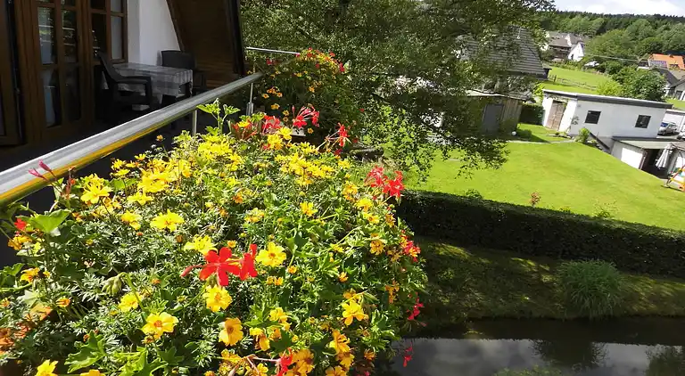 Apartment in Brachthausen