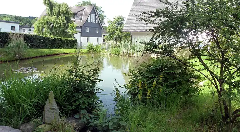 Apartment in Brachthausen