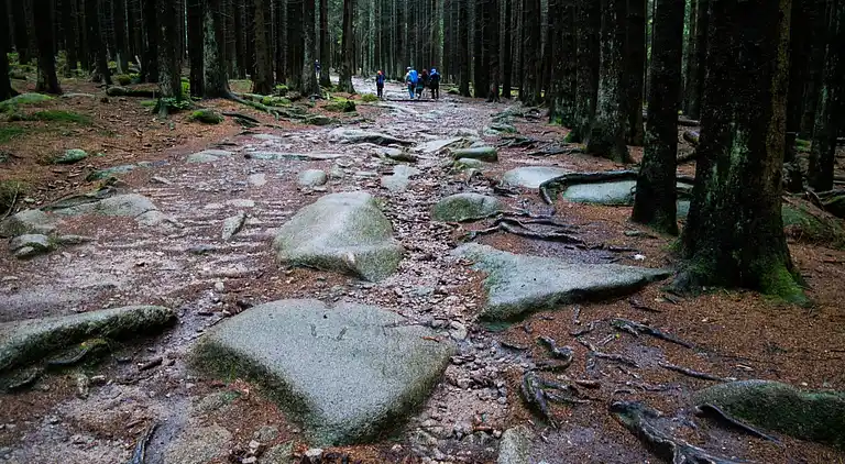 Sommerhus i Schierke