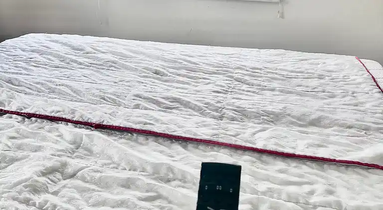 Stor villa i naturskønne omgivelser tæt på strand