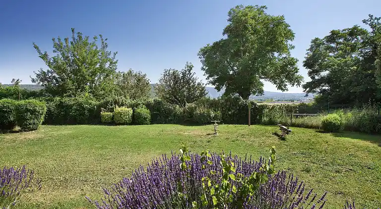 Ferielejlighed i Lacoste