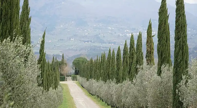 Sommerhus i Rignano sull'Arno