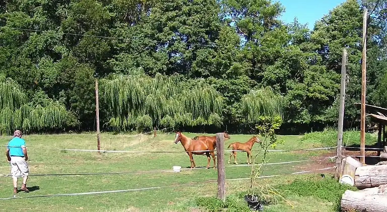 Lägenhet i Retournac
