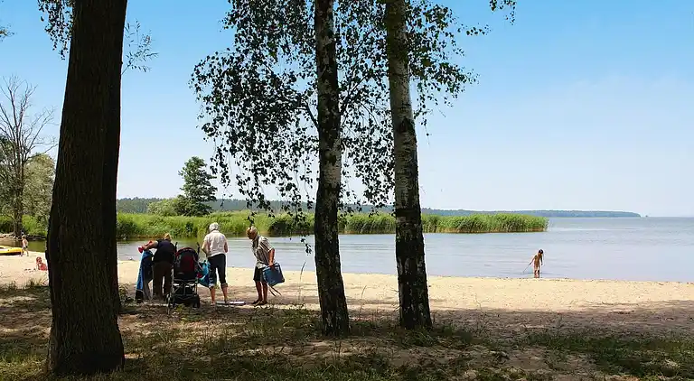 Apartment in Vogelsang