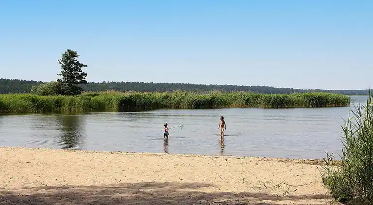 Apartment in Vogelsang