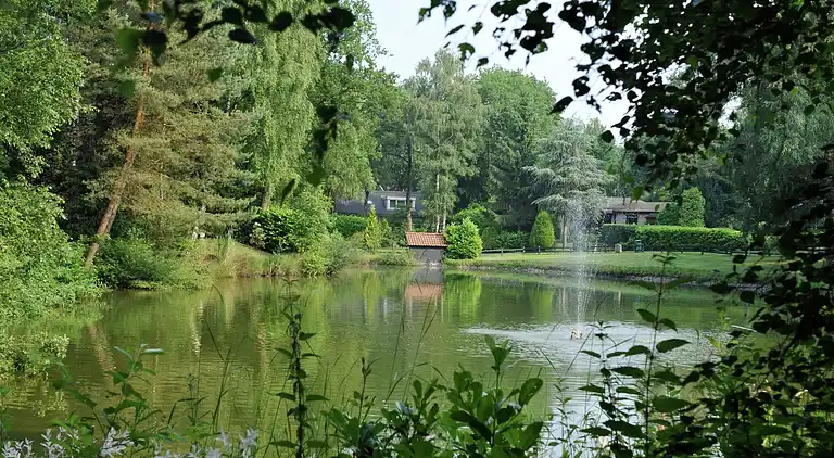 Cottage in Baarle-Nassau