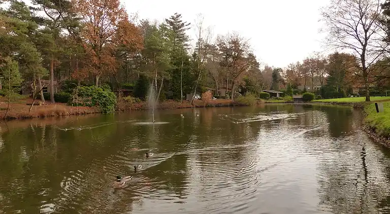 Cottage in Baarle-Nassau