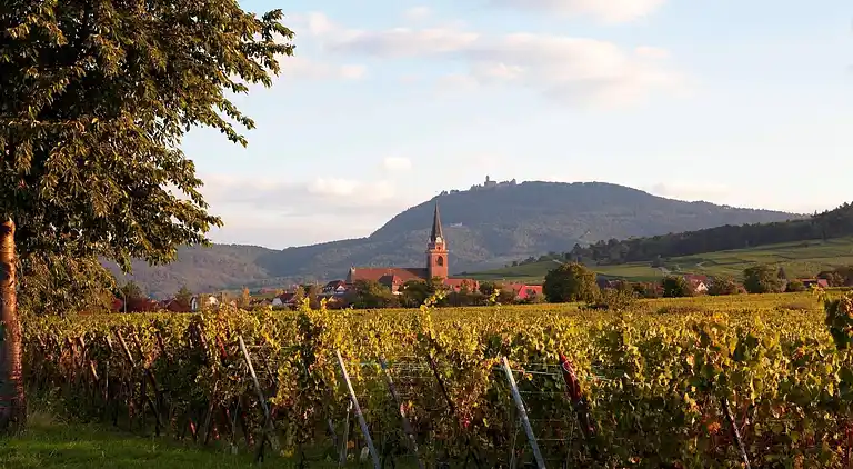 Apartment in Bergheim