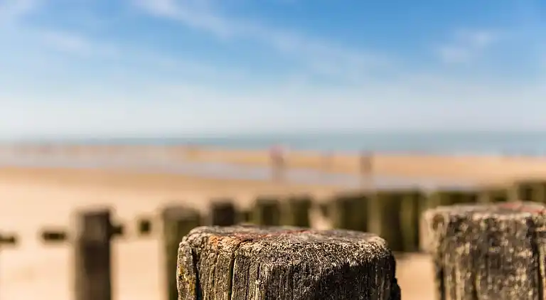 Apartment in Domburg