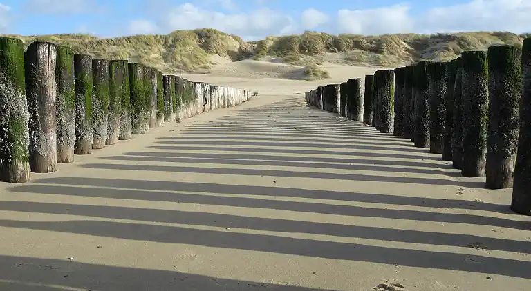 Ferienwohnung in Cadzand