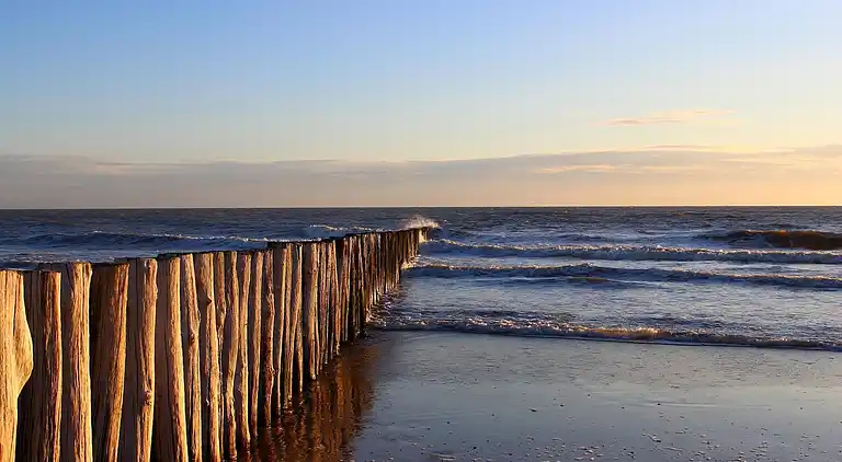 Ferienwohnung in Cadzand