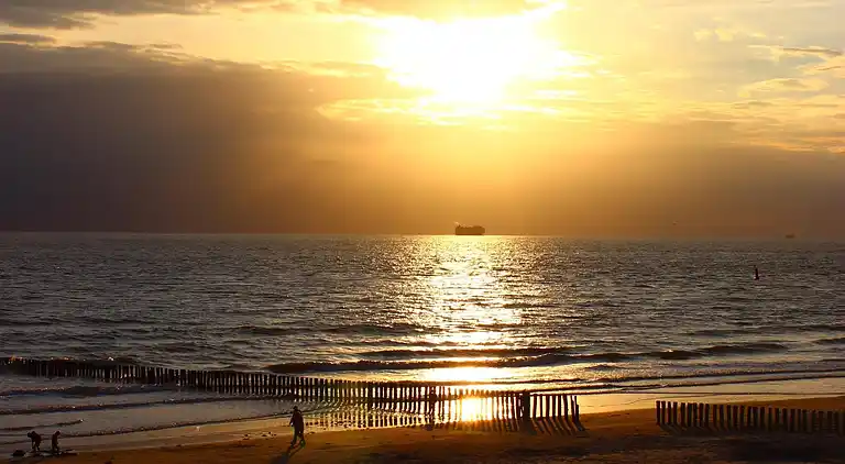 Ferienwohnung in Cadzand