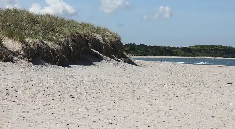 Hyggeligt og velindrettet sommerhus i Hornbæk