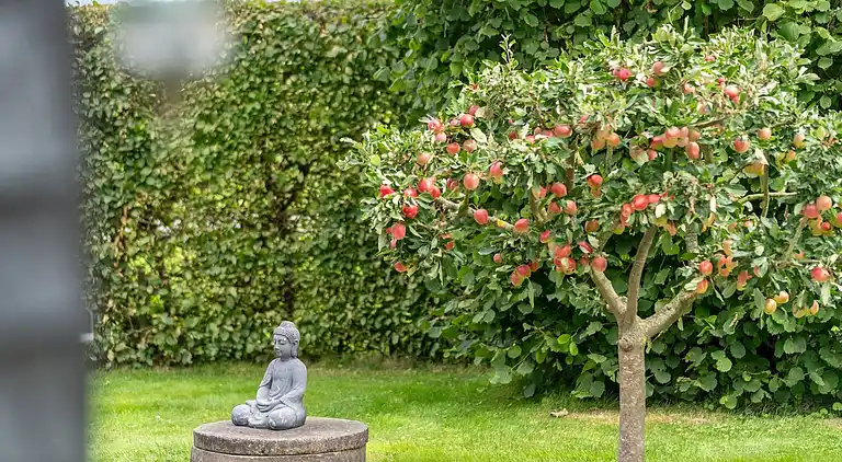 Idyllisk sommerhus tæt på vand og natur
