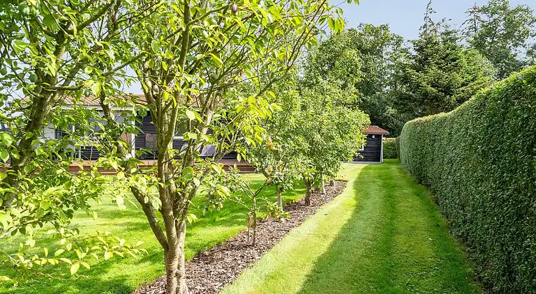 Idyllisk sommerhus tæt på vand og natur