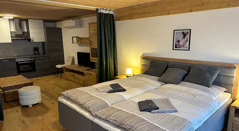 Apartment in Saalfelden