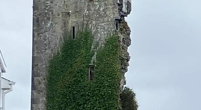 Gemütlicher Rückzugsort am Wasser in Ballyvaughan 3
