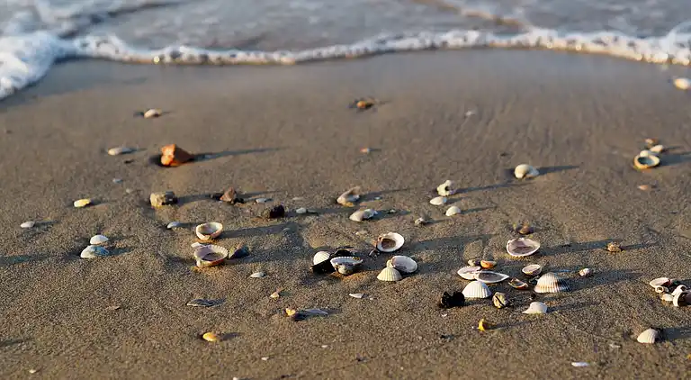 Elegantes Studio an der wunderschönen Küste von Bibione