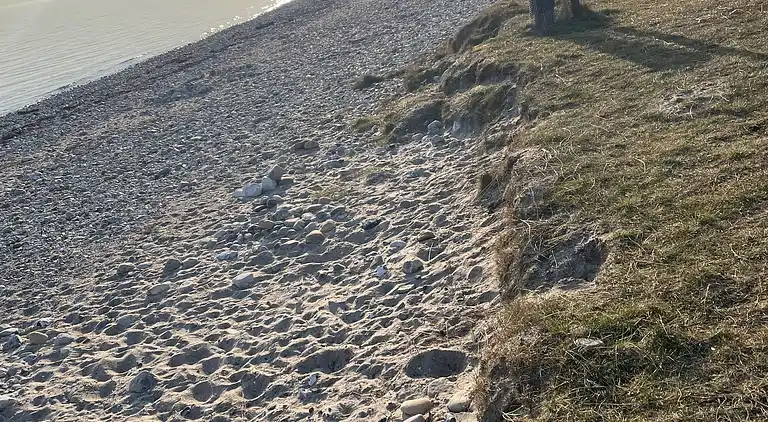 Idyllisk sommerhus tæt på vand og natur