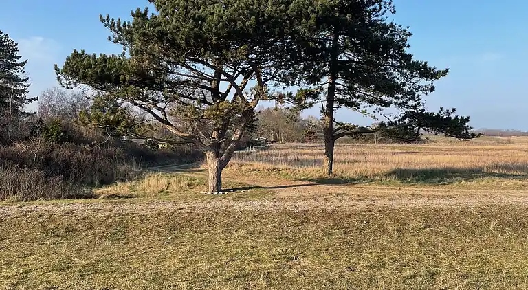 Idyllisk sommerhus tæt på vand og natur