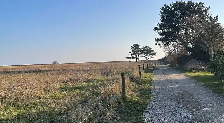 Idyllisk sommerhus tæt på vand og natur