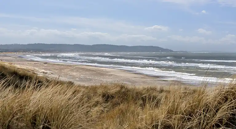 Sommerhausidylle in der ersten Dünenreihe
