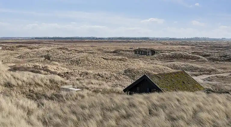 Sommerhausidylle in der ersten Dünenreihe
