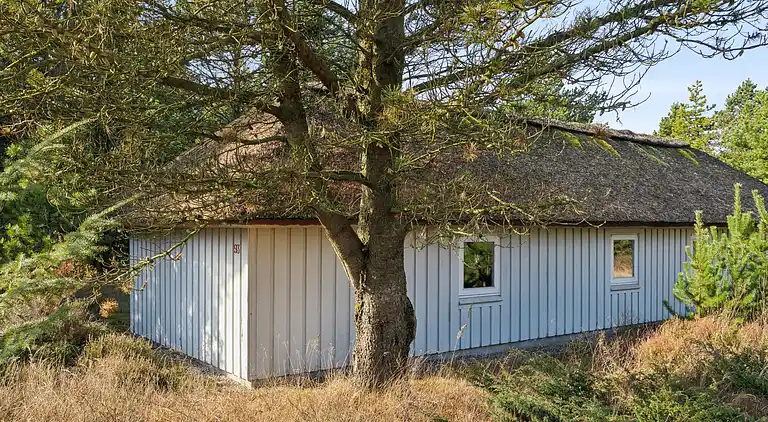 Skønt stråtækt sommerhus i naturskønt område.