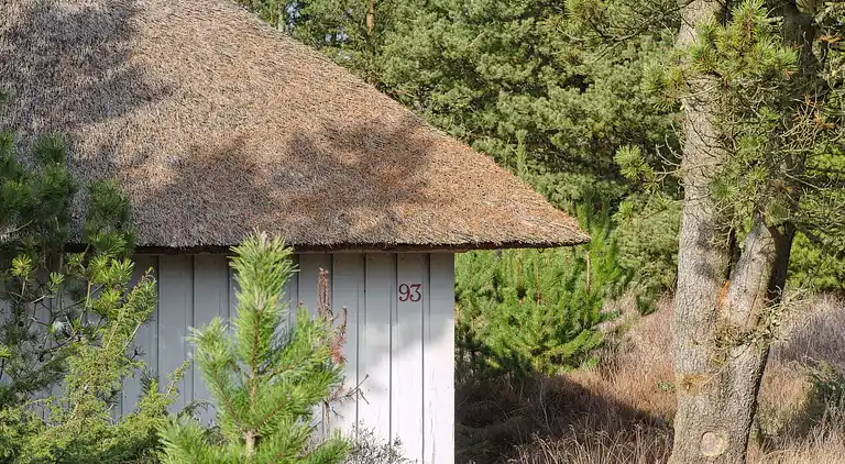 Skønt stråtækt sommerhus i naturskønt område.