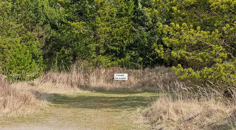 Skønt stråtækt sommerhus i naturskønt område.