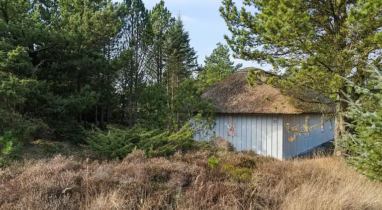 Skønt stråtækt sommerhus i naturskønt område.