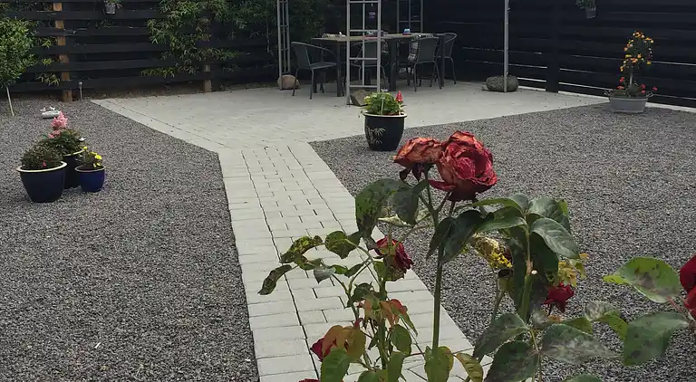 Hyggeligt sommerhus med masser sjæl og charme