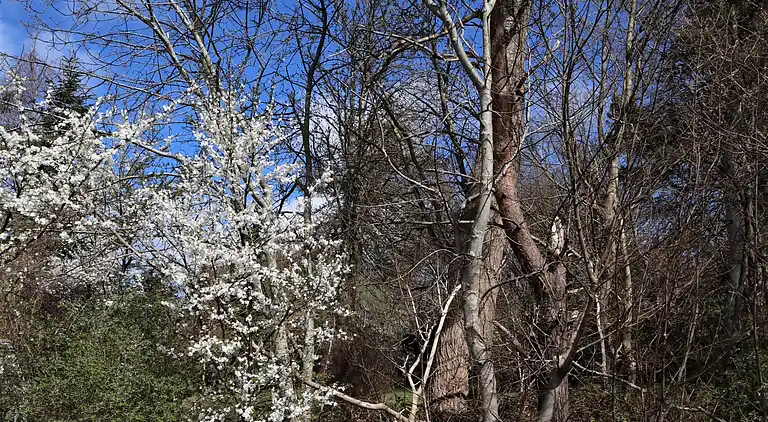 Ferienhaus mit Ruhe, Natur und schöne Erlebnissen