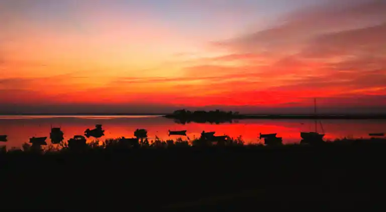 Ferienhaus mit Ruhe, Natur und schöne Erlebnissen
