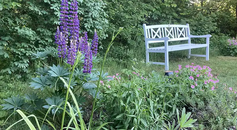 Ferienhaus mit Ruhe, Natur und schöne Erlebnissen