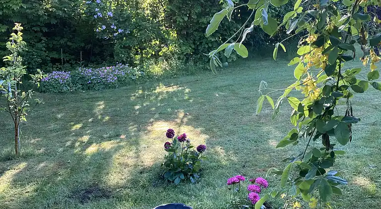 Ferienhaus mit Ruhe, Natur und schöne Erlebnissen