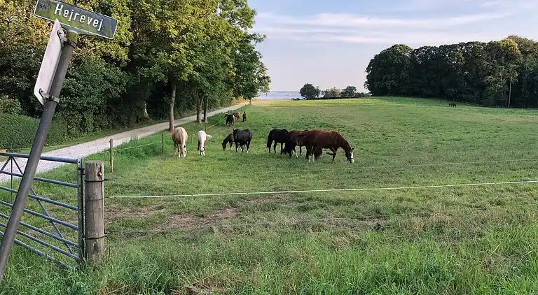 "Siesta" bei Følle Strand, Ruhe und Natur Oase