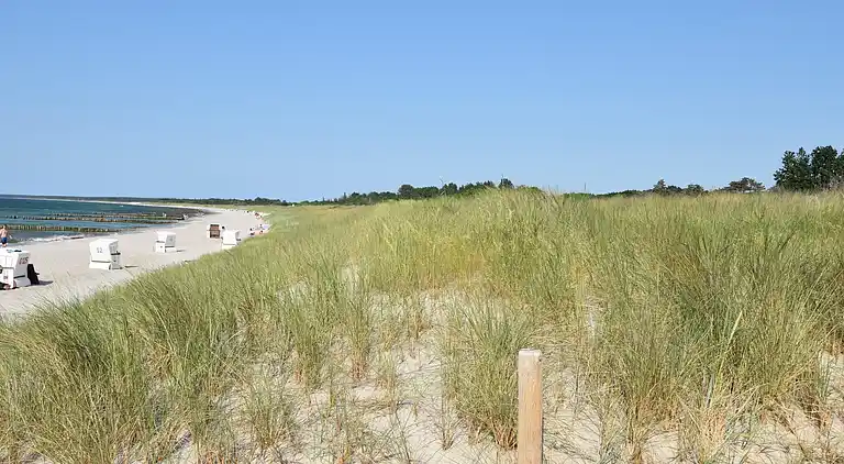 Ferielejlighed i Zingst